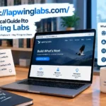 httpslapwinglabs.com